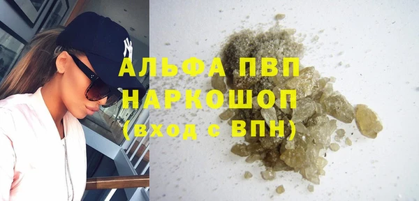 гашик Алексеевка
